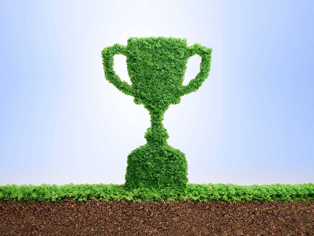 Synergy Advanced Metals Limited - News