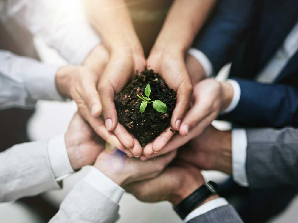 Synergy Advanced Metals Limited - News